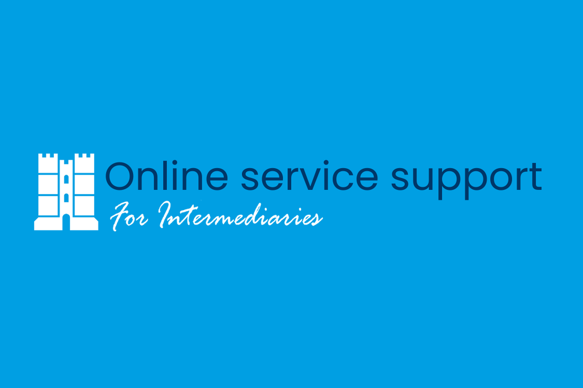 Intermediary Online Service Terms and Conditions