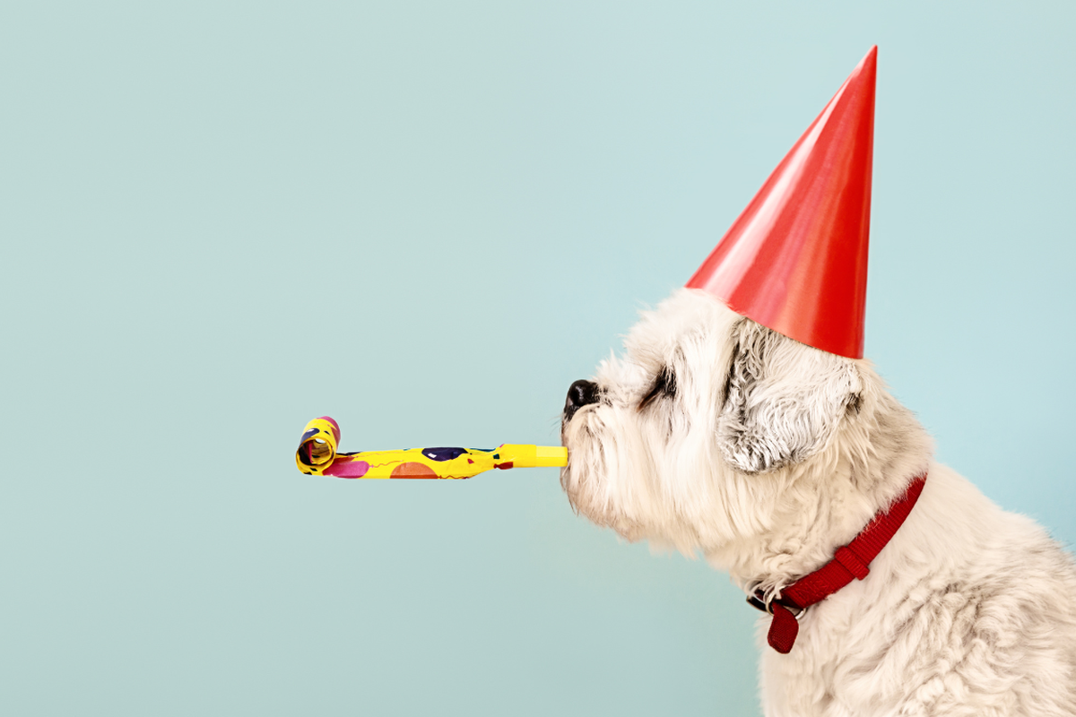 Celebrating 25 years of the ISA