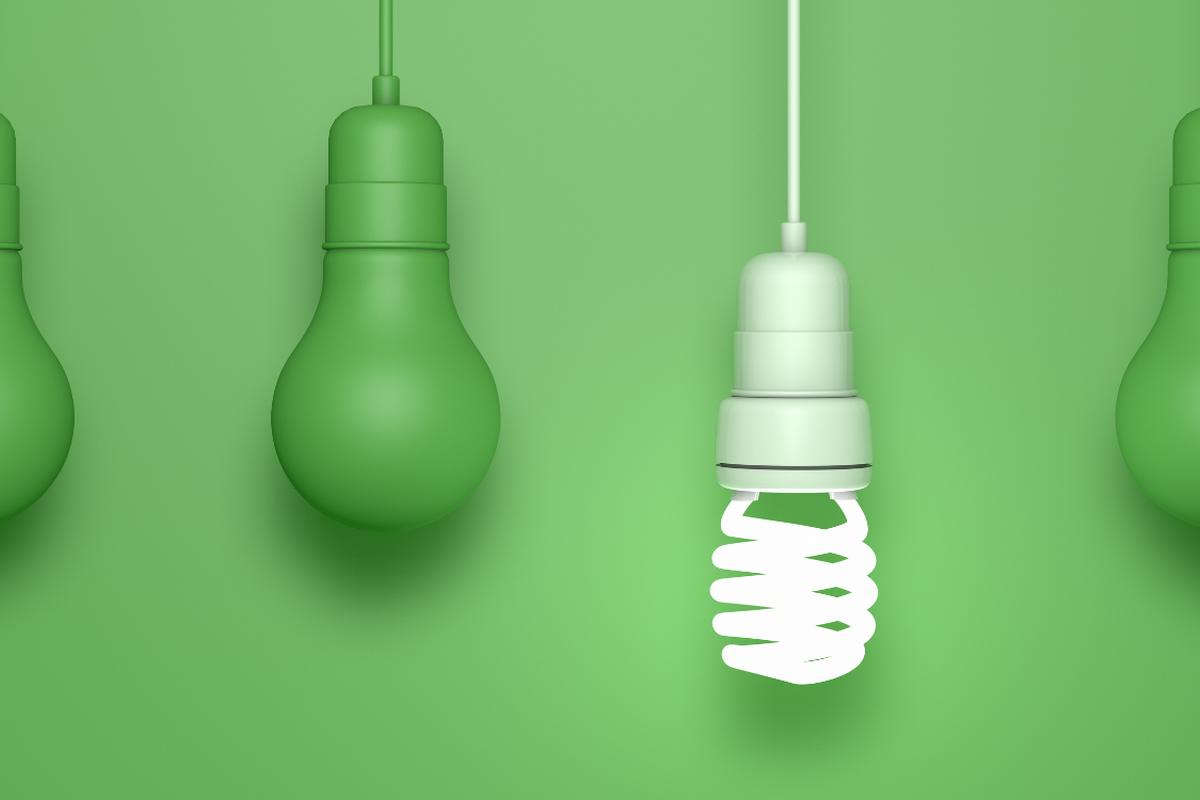 Where should you focus when creating a greener home?